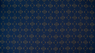 Brigitta's Coat Liner Fabric Textiles cosplay DangerousLadies