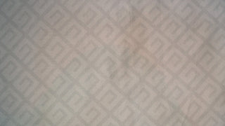 Expedition 33 Fabric Textiles cosplay DangerousLadies