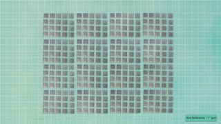 Paine's Accessories  Cast Kit cosplay DangerousLadies