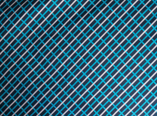 Hortensia's Casual Fabric Textiles cosplay DangerousLadies