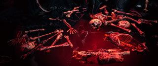 Blood Pool 2023 - DangerousLadies