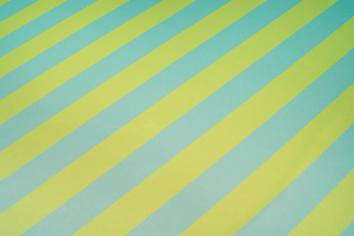 Agnes Digital's Racewear Fabric Fabric cosplay DangerousLadies