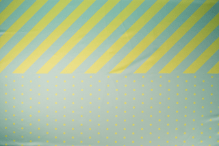 Agnes Digital's Racewear Fabric Fabric cosplay DangerousLadies