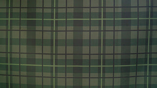 Ashley's RE4R Skirt Fabric