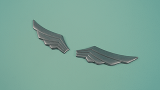 Cordelia's Pegasus Knight Hair Wings Cast Kit cosplay DangerousLadies