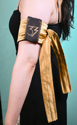 Expedition 33 Armbands