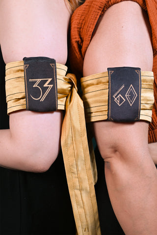 Expedition 33 Armbands