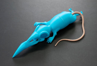 Laudna Accessories [3D Printed Kit]