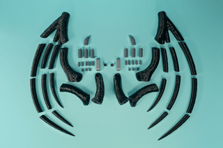 Morrigan and Lilith's Back and Head Wings Kit [3D Printed Kit] 3D Printed Kit cosplay DangerousLadies