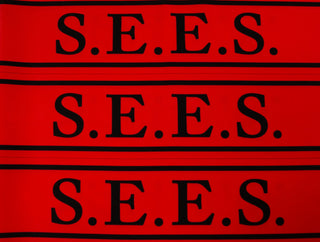 P3 Original S.E.E.S. Armbands Fabric