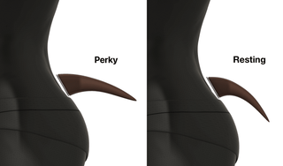 Umamusume Horse Tail Bases [3D Print Files] 3D Files cosplay DangerousLadies