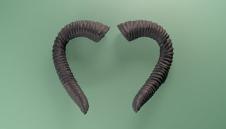 Wyll's Tiefling Horns [3D Printed Kit] 3D Printed Kit cosplay DangerousLadies