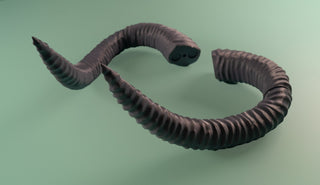 Wyll's Tiefling Horns [3D Printed Kit] 3D Printed Kit cosplay DangerousLadies